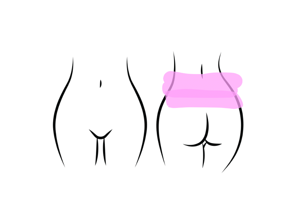 Lower Back