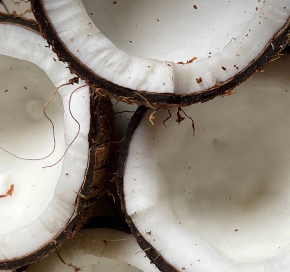 addons: Coconut Scent