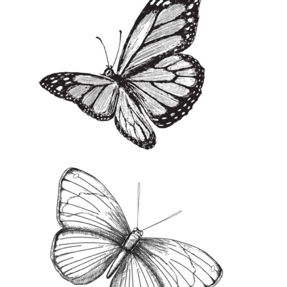 Best Friend/Couples Session