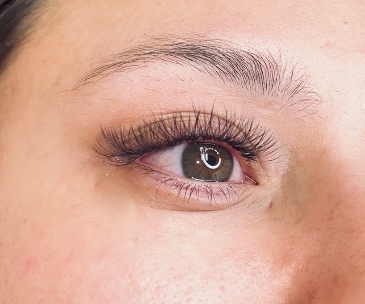 LIMITED TIME Model Price Lashes