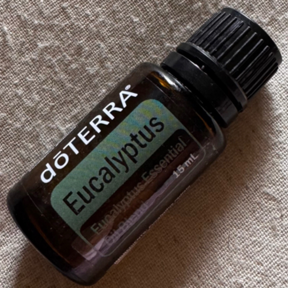 Eucalyptus at Angelica Barrios, LMT in Nacogdoches, TX