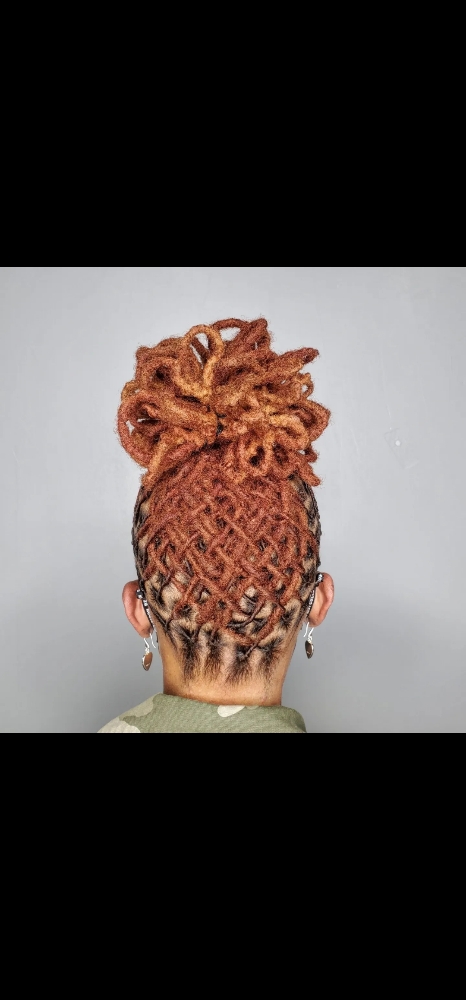 Loc Updo