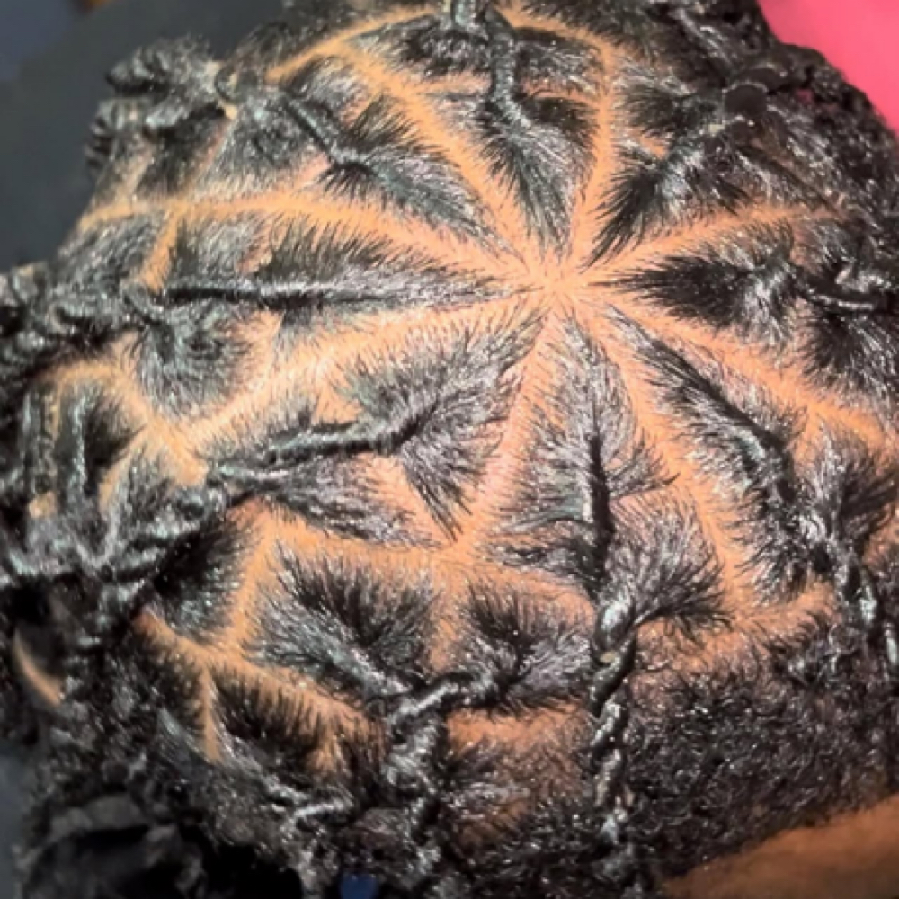 Dread/Loc Maintenance at Shelaia Taylor in Los Angeles, CA