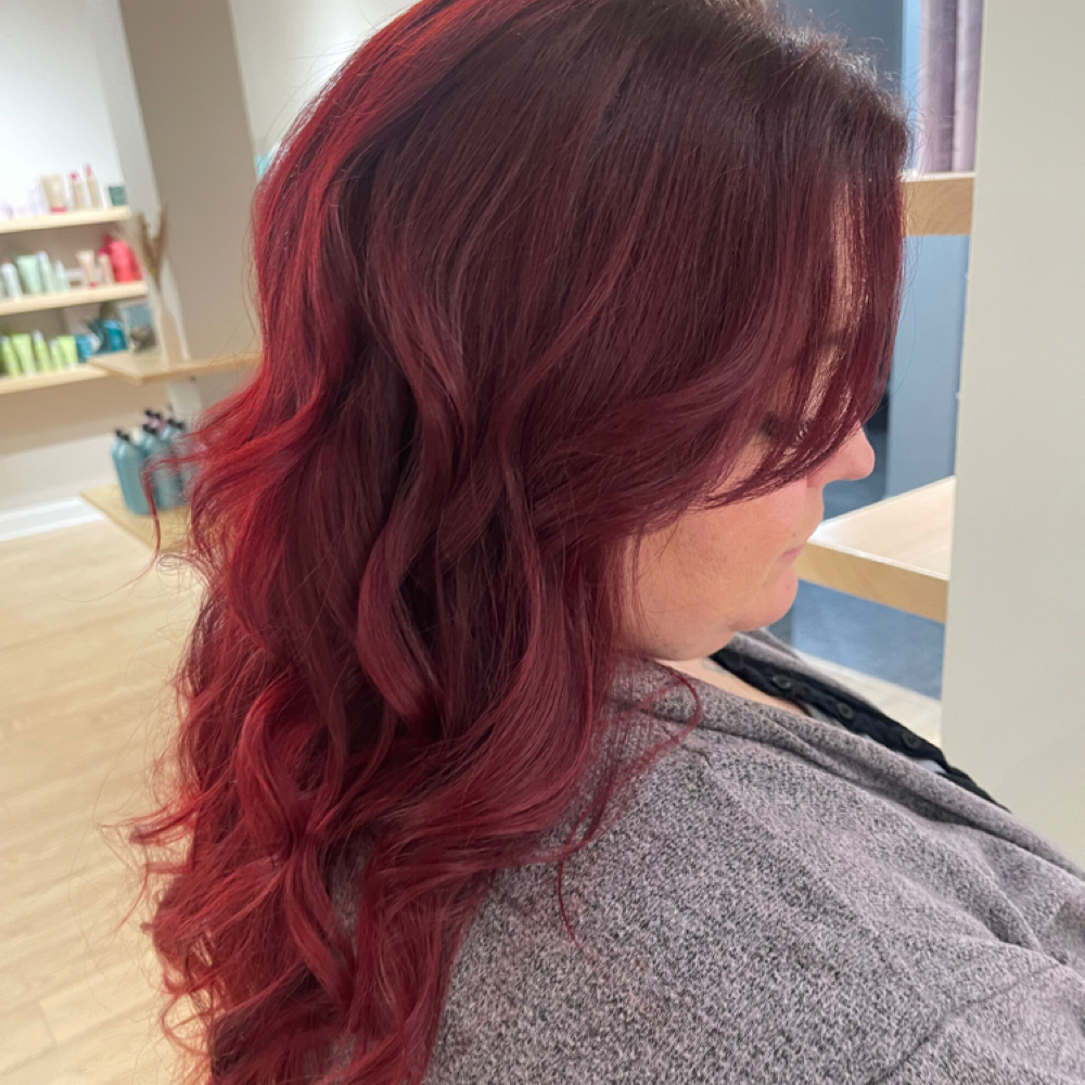 Full Head Color at Mane Haven in Marshall, MI