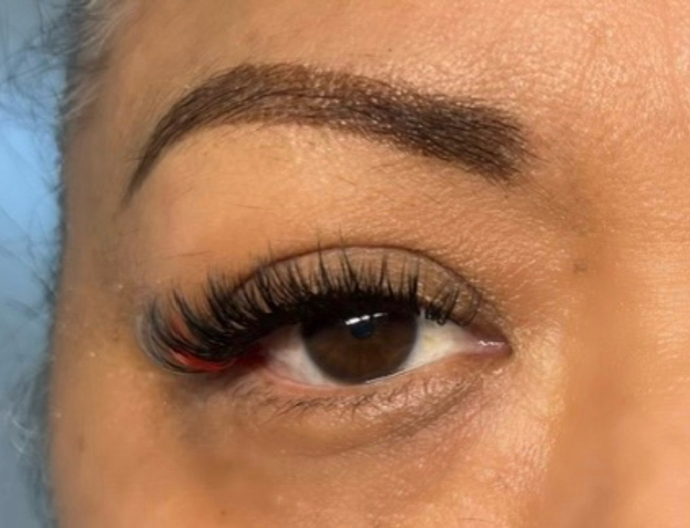 Volume Lashes