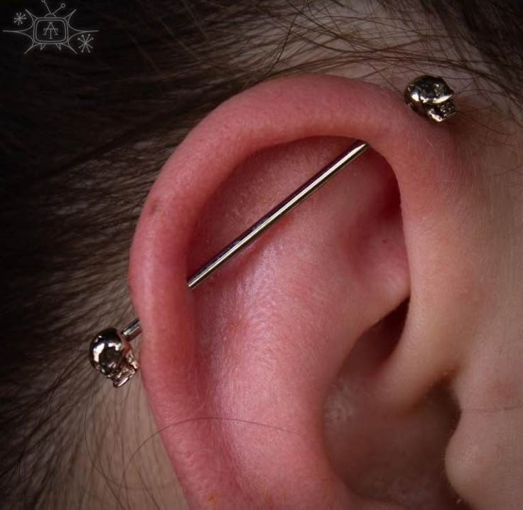 Industrial Piercing at Makenzie/Serpent & Sage in Watertown, NY