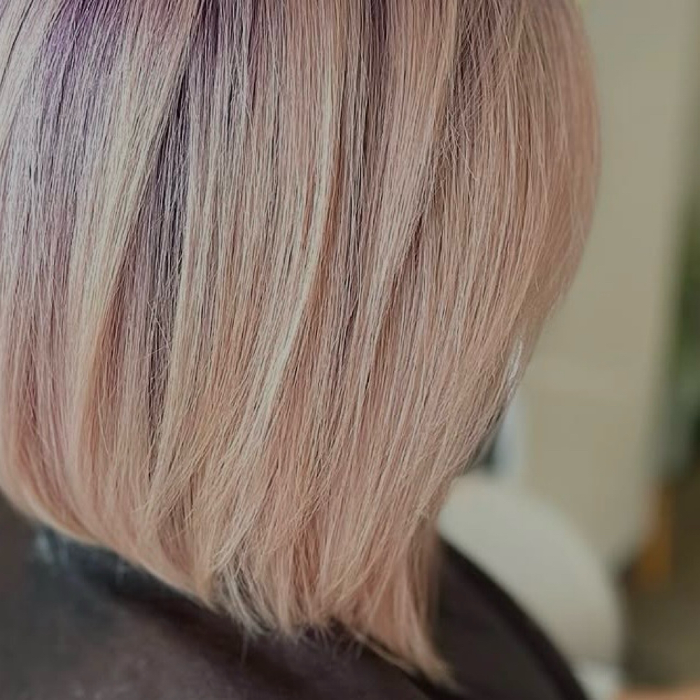Haircut + Blowdry at Salon Dahlia in Brandon, FL