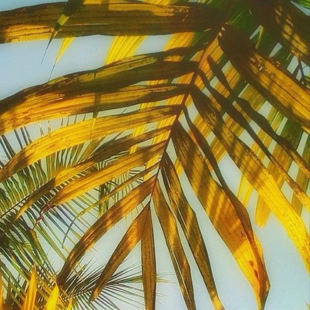 Golden Pineapple Whip Facial at Haven Skin Spa in Enfield, CT