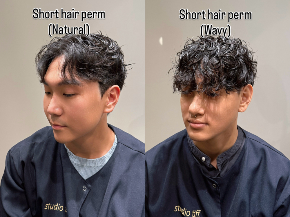 Hair Cut + Short Hair Perm