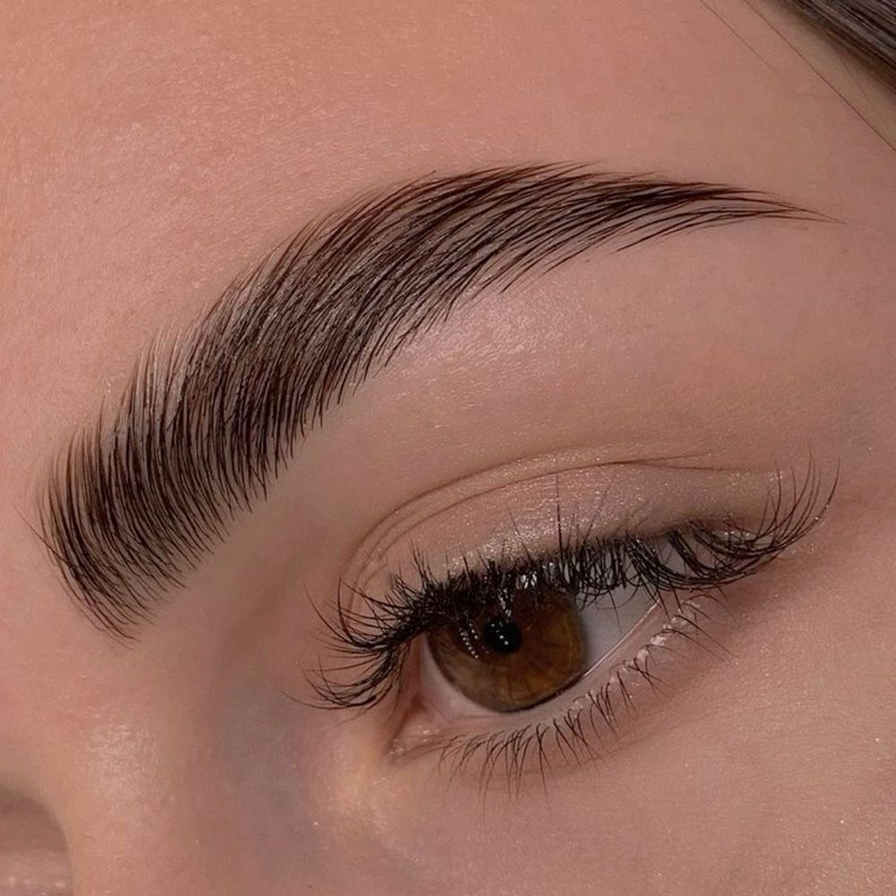 Brow Lamination & Wax