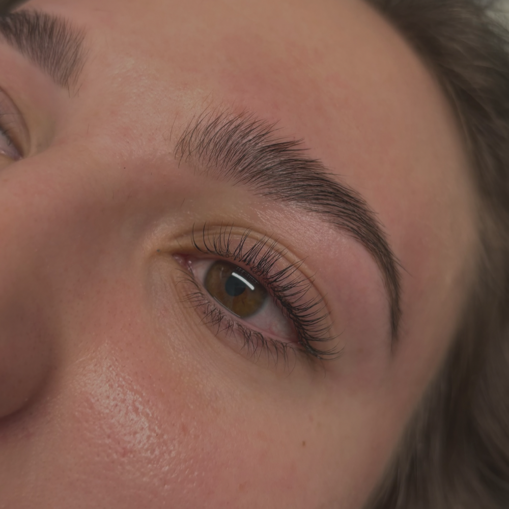 Lash & Brow Bundle