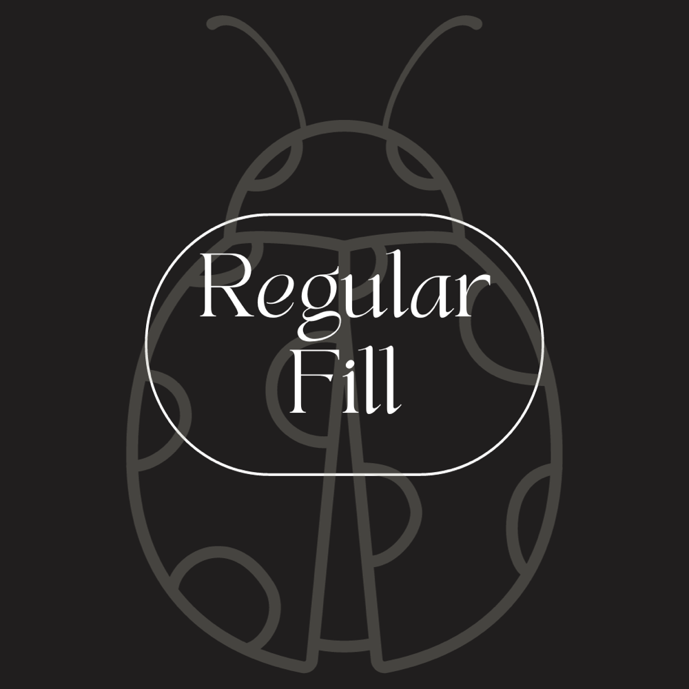 Regular Lash Fill