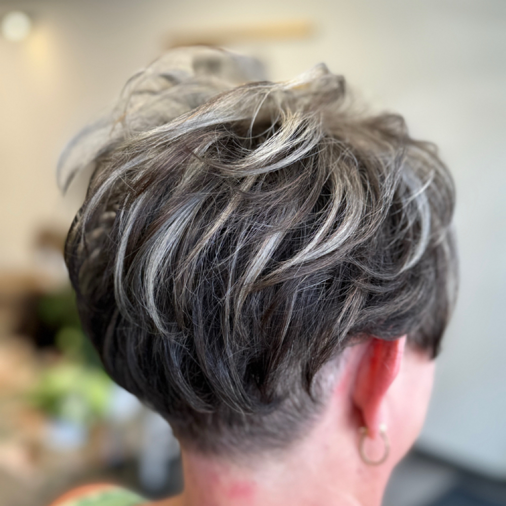 Shampoo, Dry, Style For Seniors at Sarah Holtz in Olney, IL