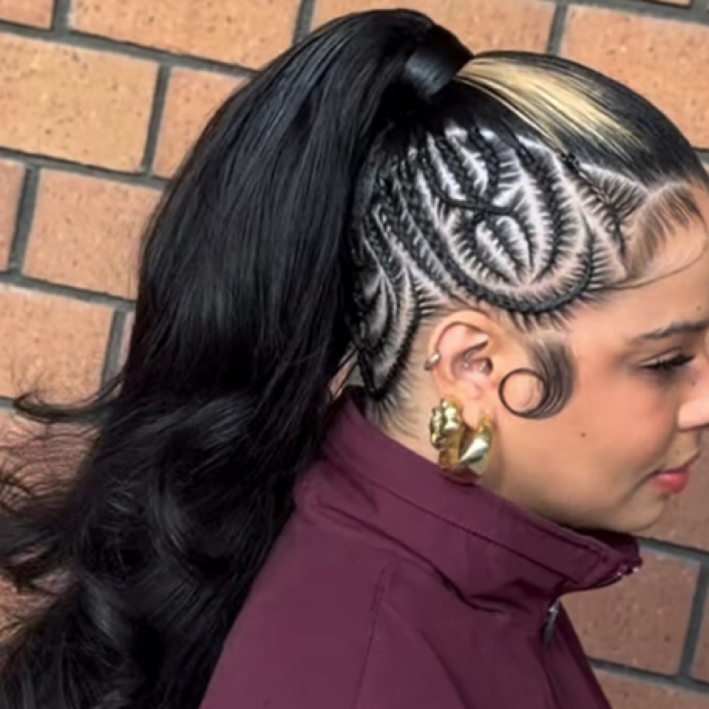 Ponytail+braids at SoftlyLux Salon in longwood, FL