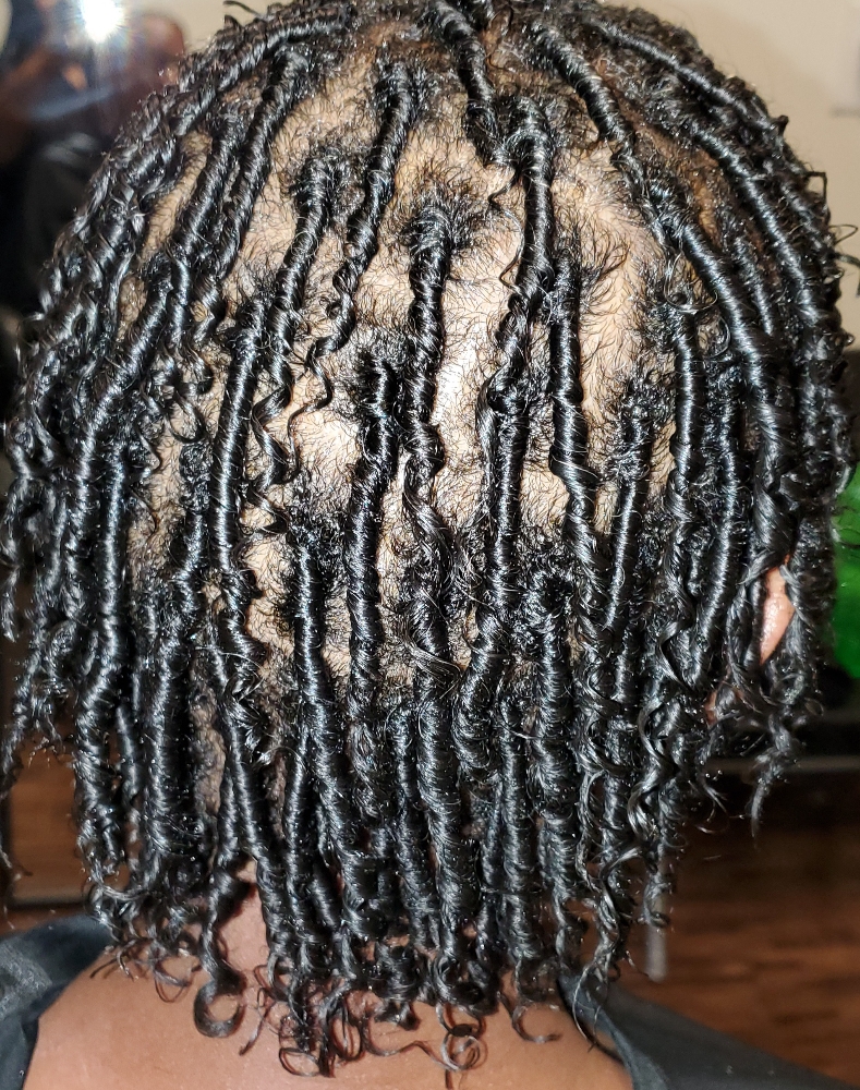 Starter Locs