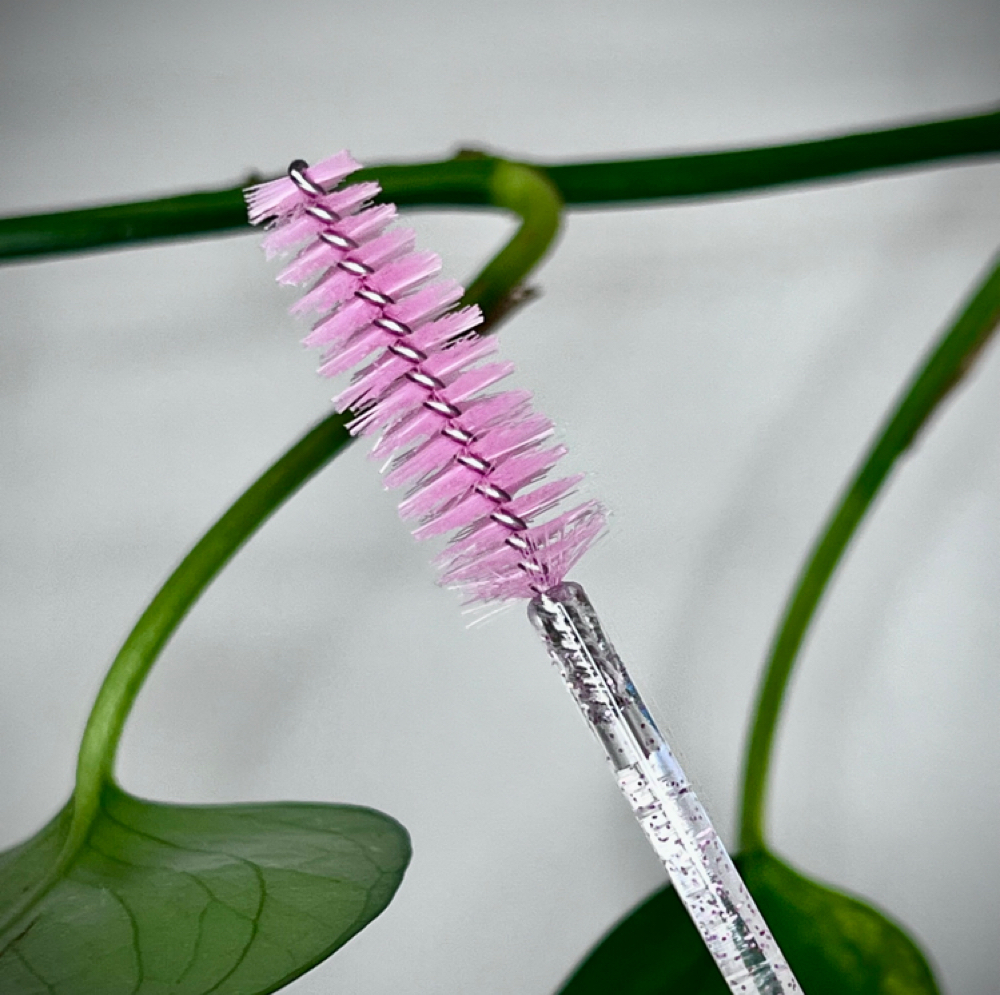 Hybrid Fill - 2 Week at Ava Beauty Lounge in Torrance, CA