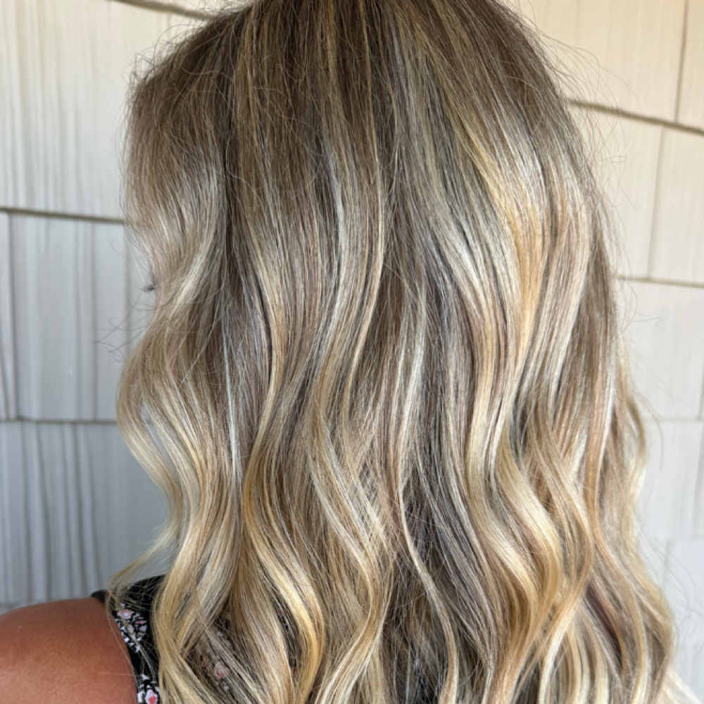Partial Highlight And Haircut at Daniela Springer in Portage, MI