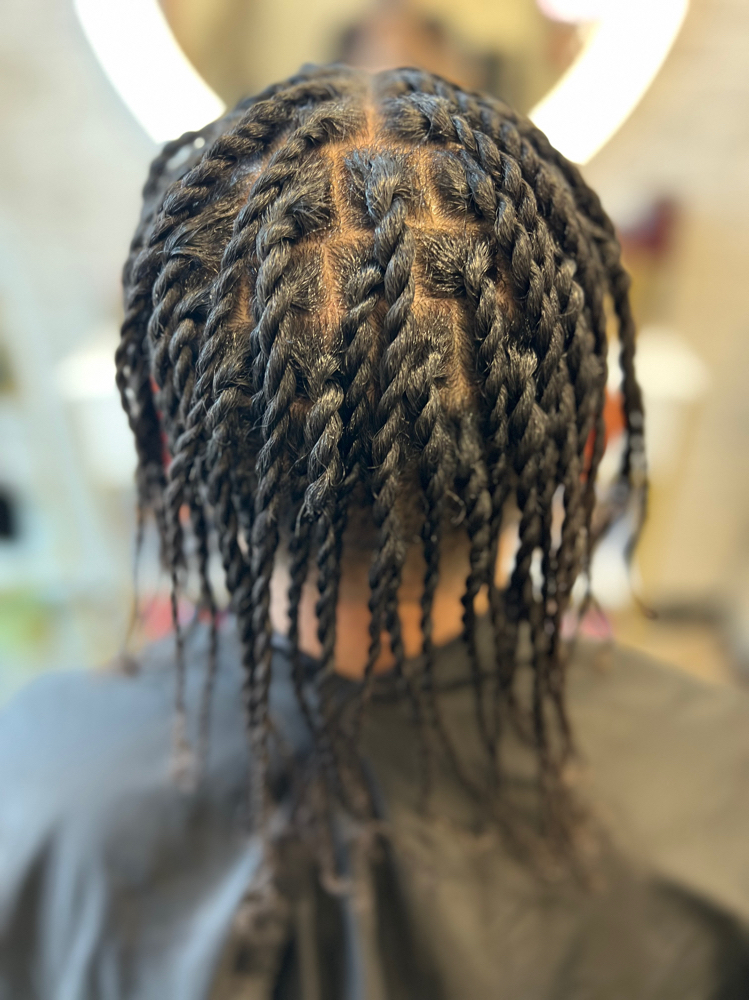 Box Braids Or Box Twists