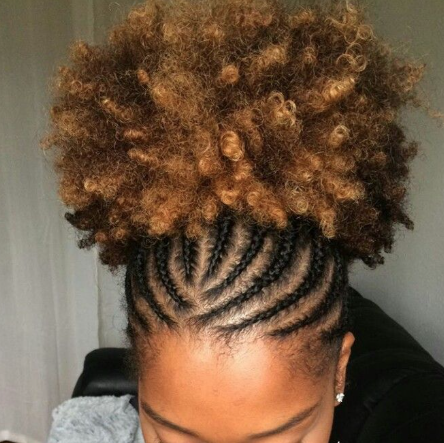 Braided updo styling at IEBIA STYLES in Wasilla, AK