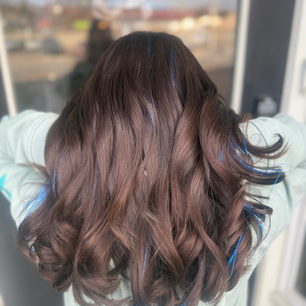 Tinsel at Envy Hair Studio in Pueblo, CO