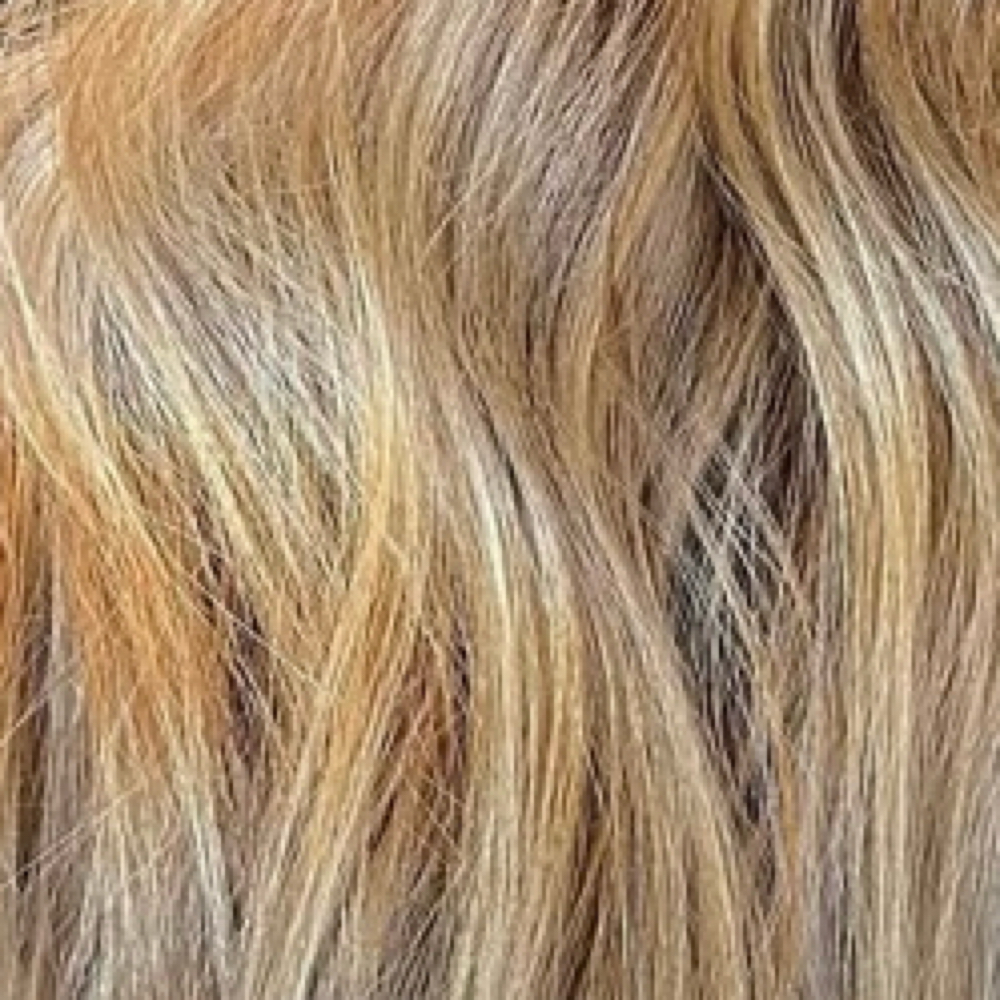 Full Color at Marks Hair Space in Boise, ID
