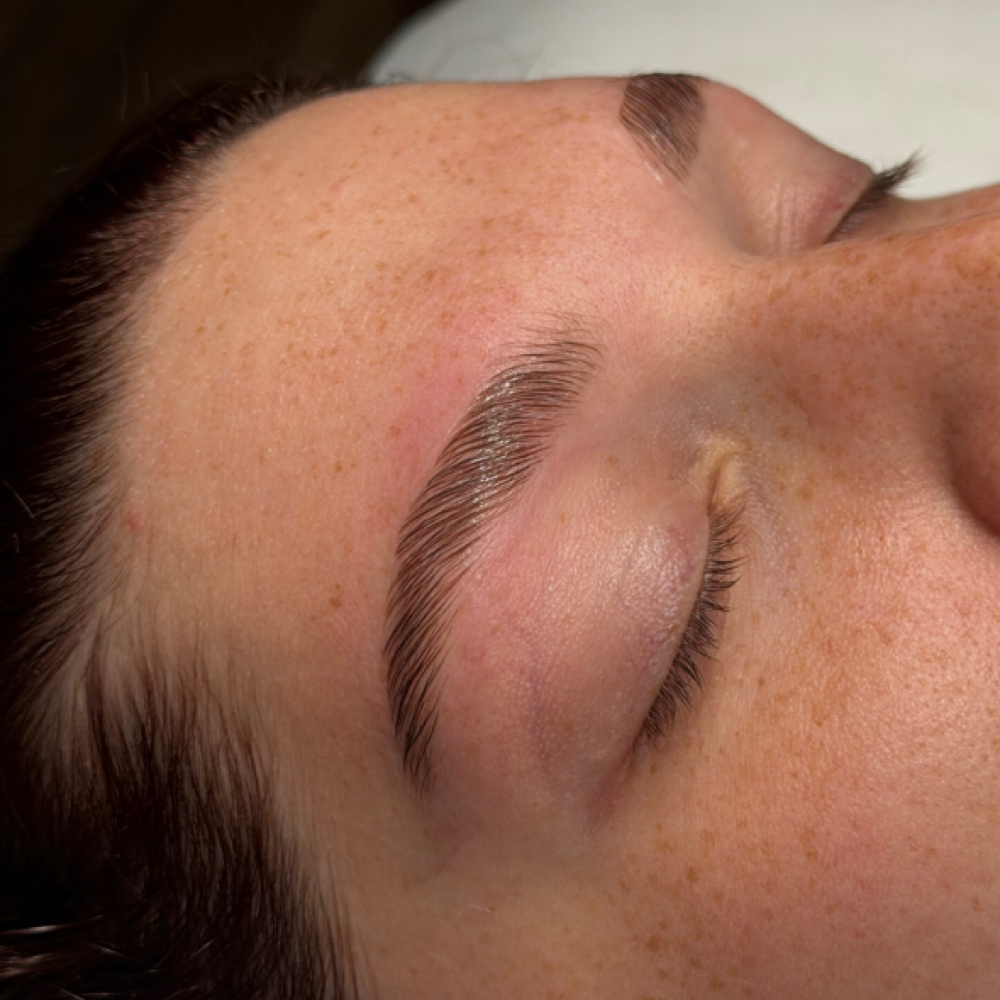 Brow lamination (no tint) at Graceful Effects Day Spa in Brandon, MS