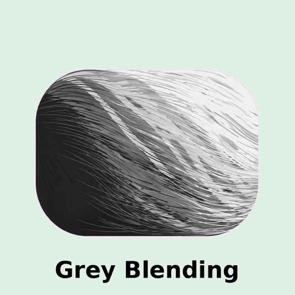 Grey Blending at Lety Bruce in Jacksonville, FL