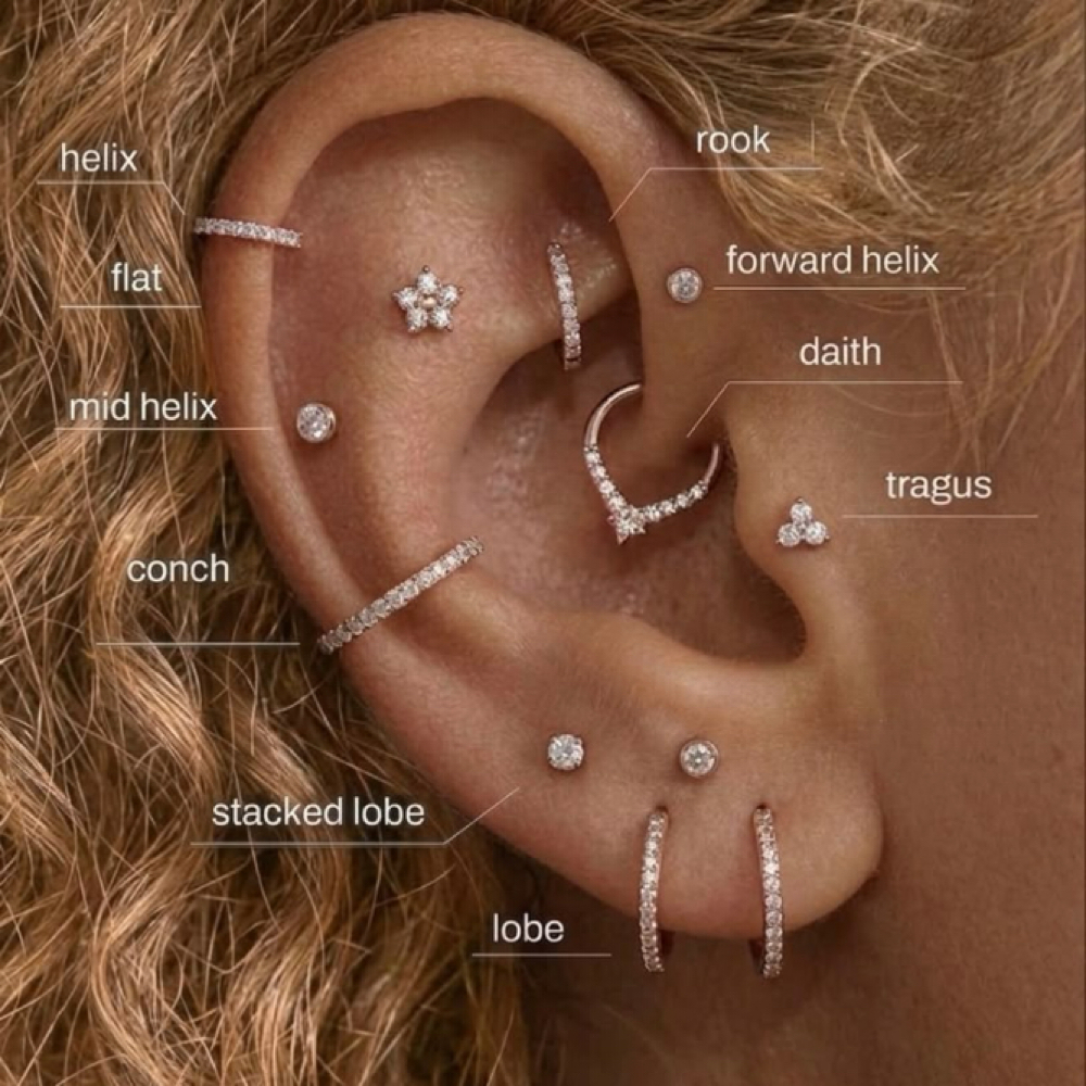 Tragus, Rook, Daith,& Forward Helix at Alyssa Rene Esthetics in Lewiston, ID