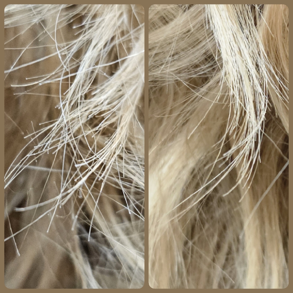 Split End Correction