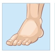 Toes