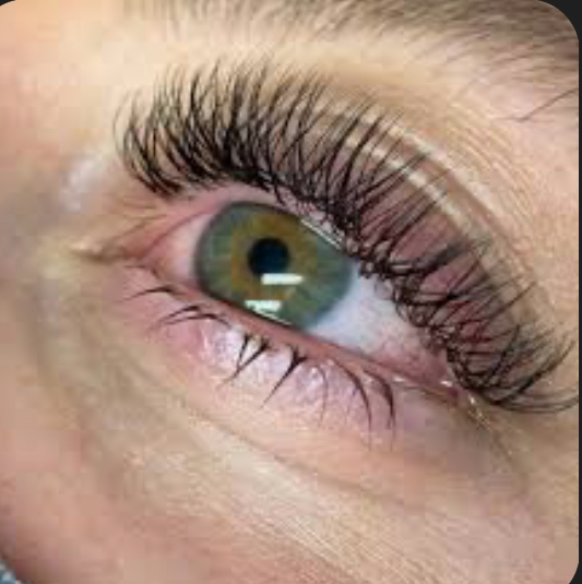 Hybrid Lash 2 Week Fill
