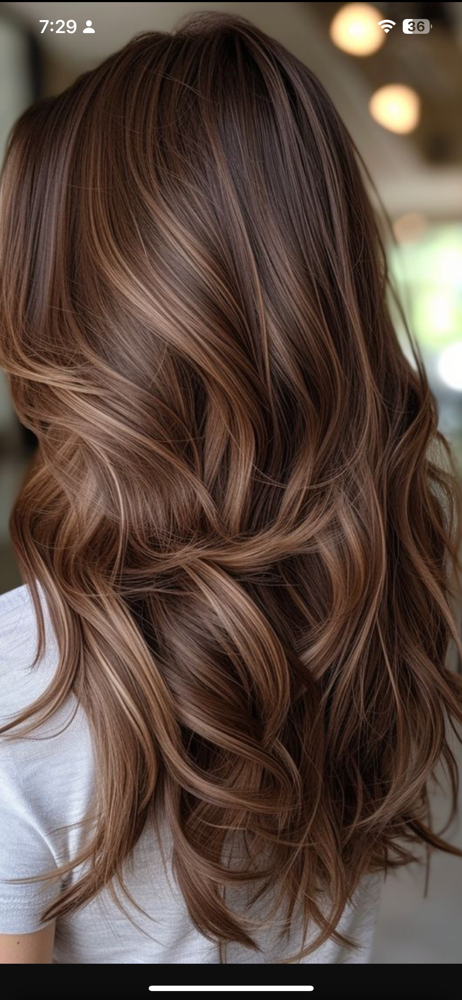 Color Consultation