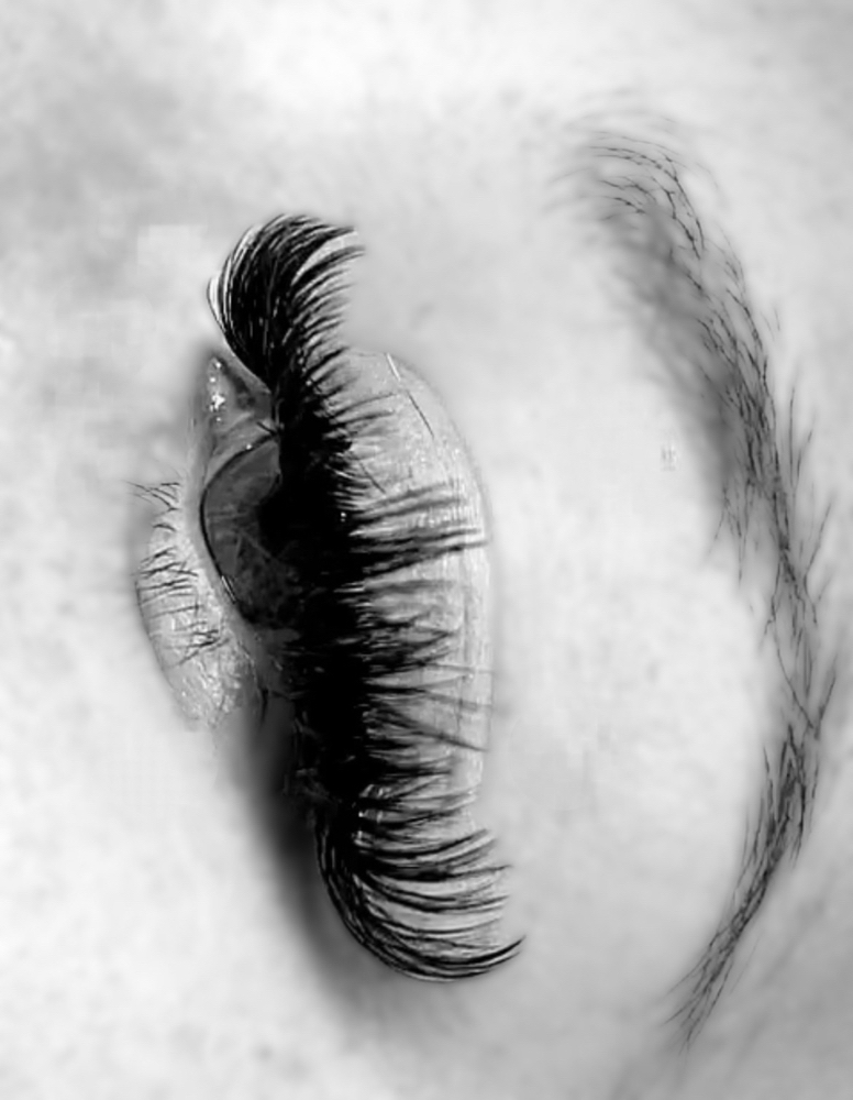 Cat Eye Lash Extensions