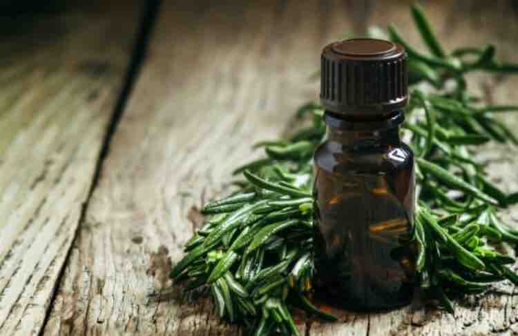 Tea Tree Oil Scalp Massage