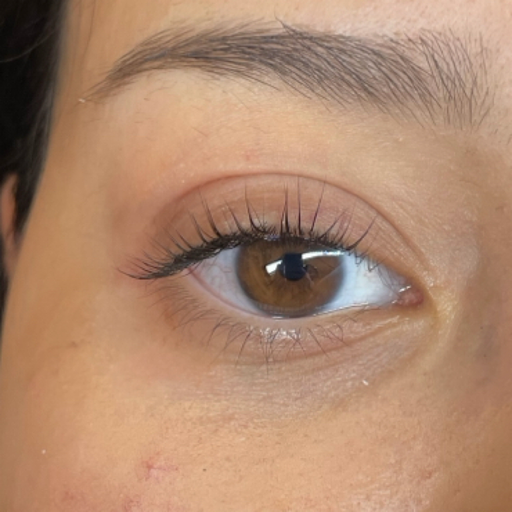 Brow + Lash Hybrid Tint at Exquisite Studios in Lady Lake, FL