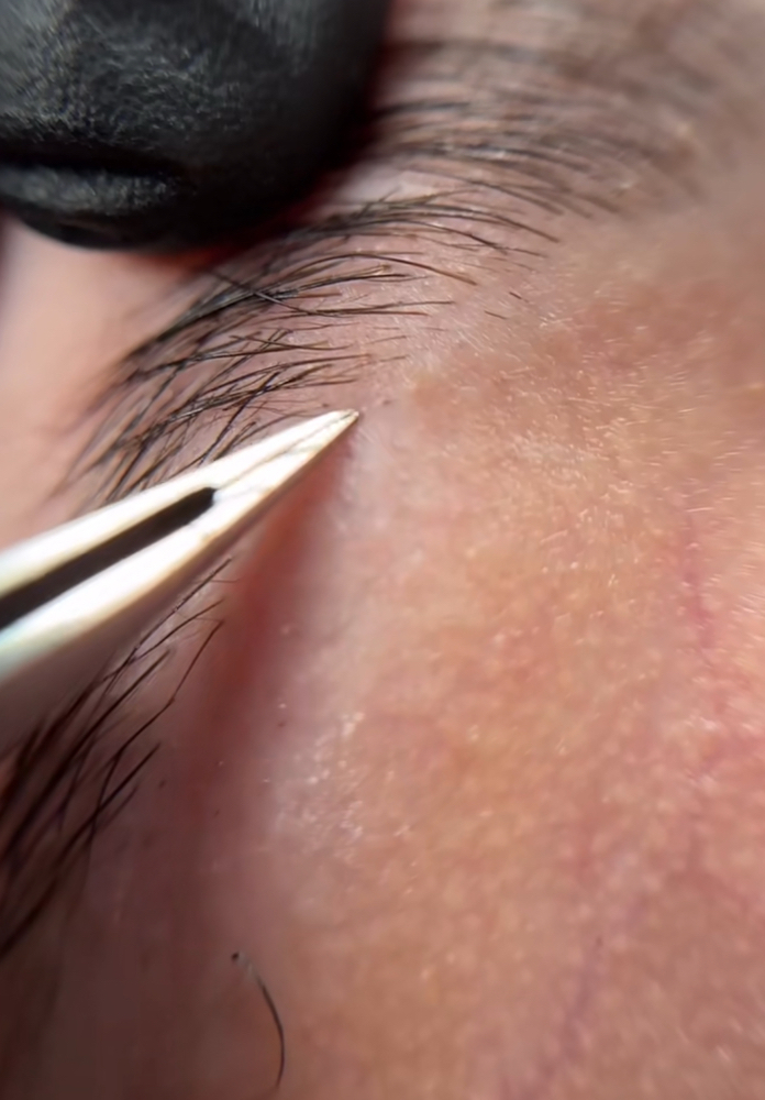 BROW DESIGN + TWEEZE at Aesthetics by Isela in River Grove, IL