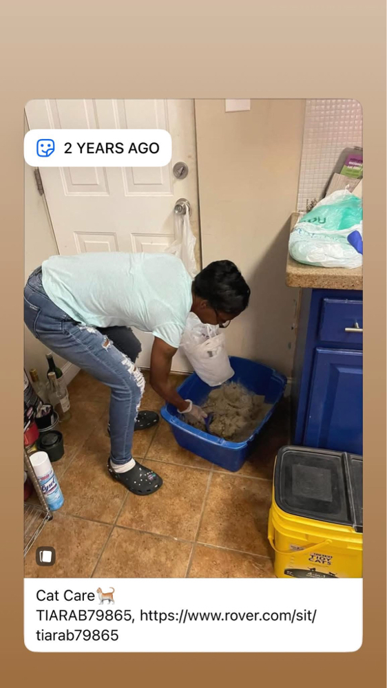 Cat Care at Paws and Pubs Patrol in Baltimore, MD
