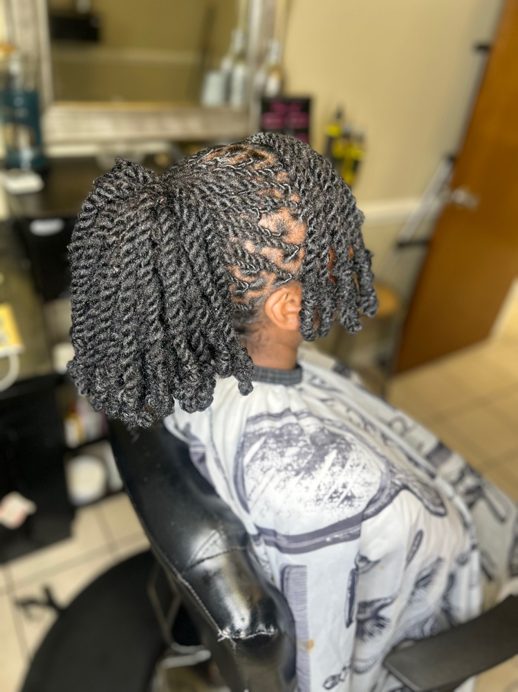 Extended Two Strand Twist Ponytail
