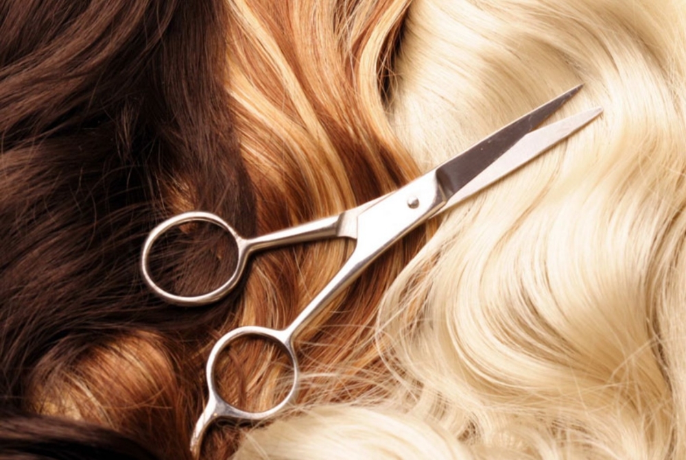 Transformation Cut at The Alchemist's Chair in Thornton, CO