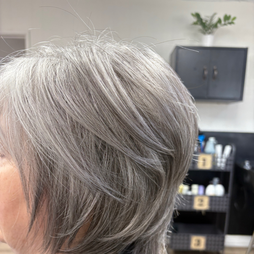 Wig Cut at Salon Suites & Barber in Twin Falls, ID