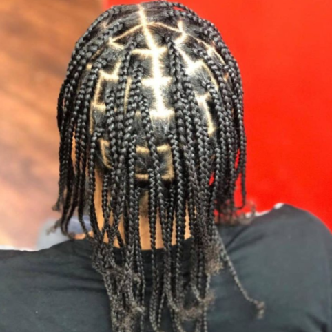 Men's Box Braids/ Box Twist