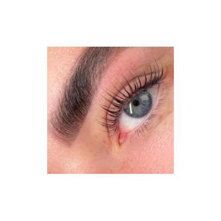 Lash Lift + Lash Tint + Brow Tint