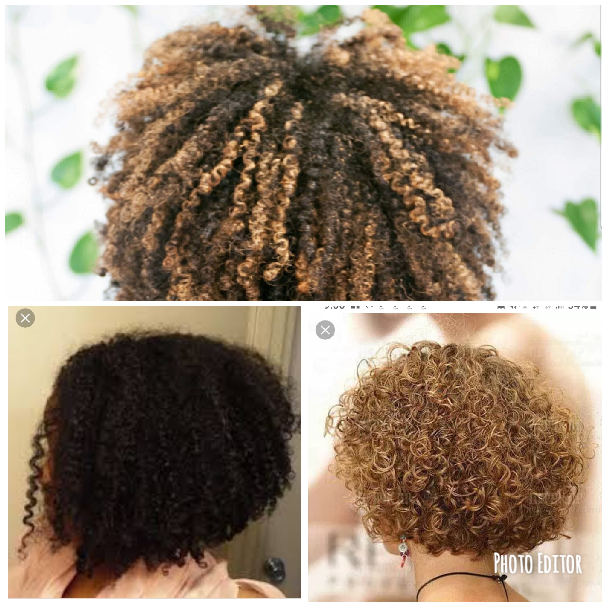 Wash n' Go Shampoo Services
