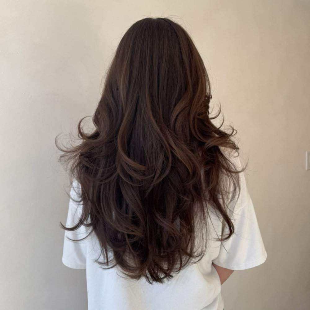 Haircut w/o Color at Mālama Hair Lounge in Rocklin, CA