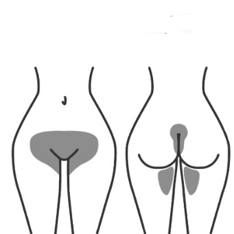 Waxing -Brazilian