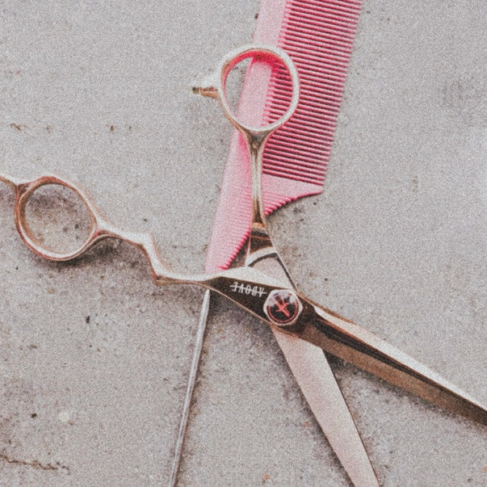 Womens Haircut at Hair by Amelia in Battle Ground, WA