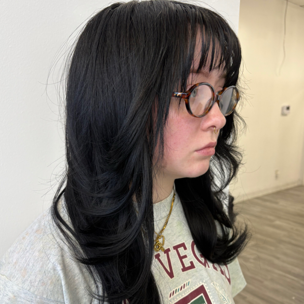 Basic Color + Style at Barbiez Studios in Wichita, KS