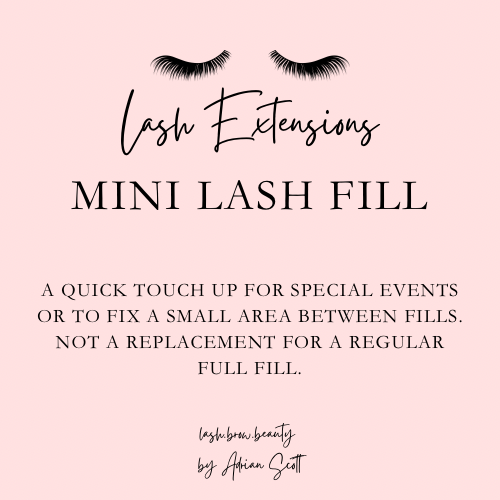 Mini Lash Fill ( Less Than 2 Weeks)