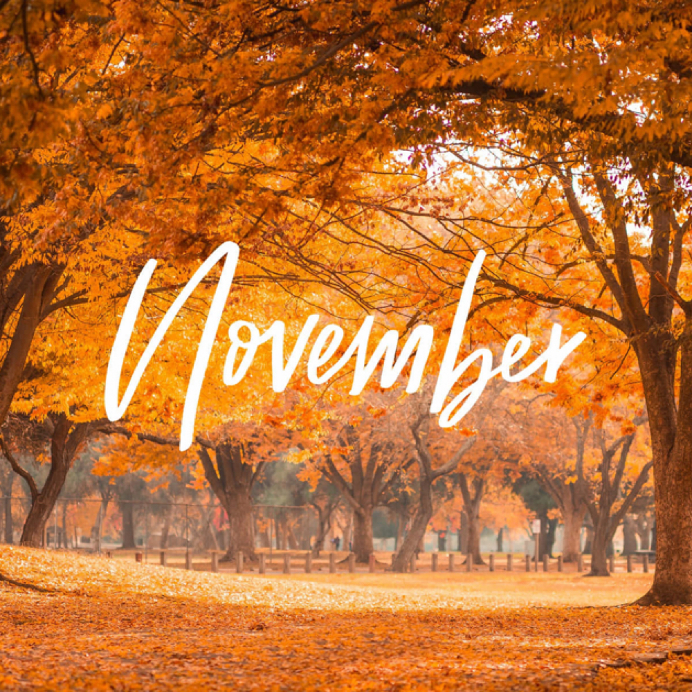 Nov Special: The Firming Facial at Danelle French Aesthetics in Indianapolis, IN