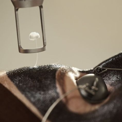 Hollywood Peel at Lumiee Skincare Llc in Chicago, IL